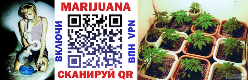 Хочу наркоту Архангельск Конопля  Псилоцибиновые грибы  Гашиш  COCAIN 