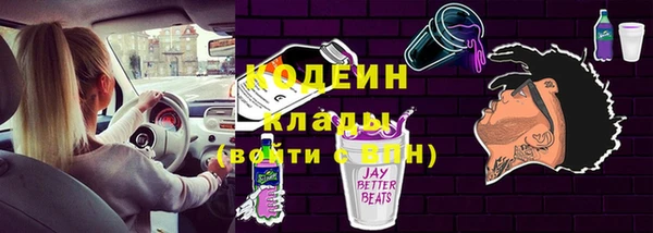 ECSTASY Алзамай