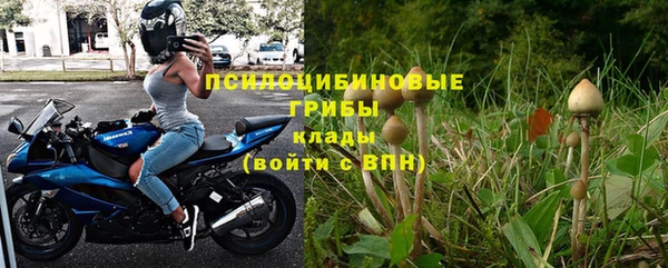 ECSTASY Алзамай