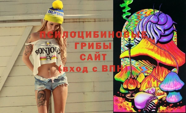 ECSTASY Алзамай