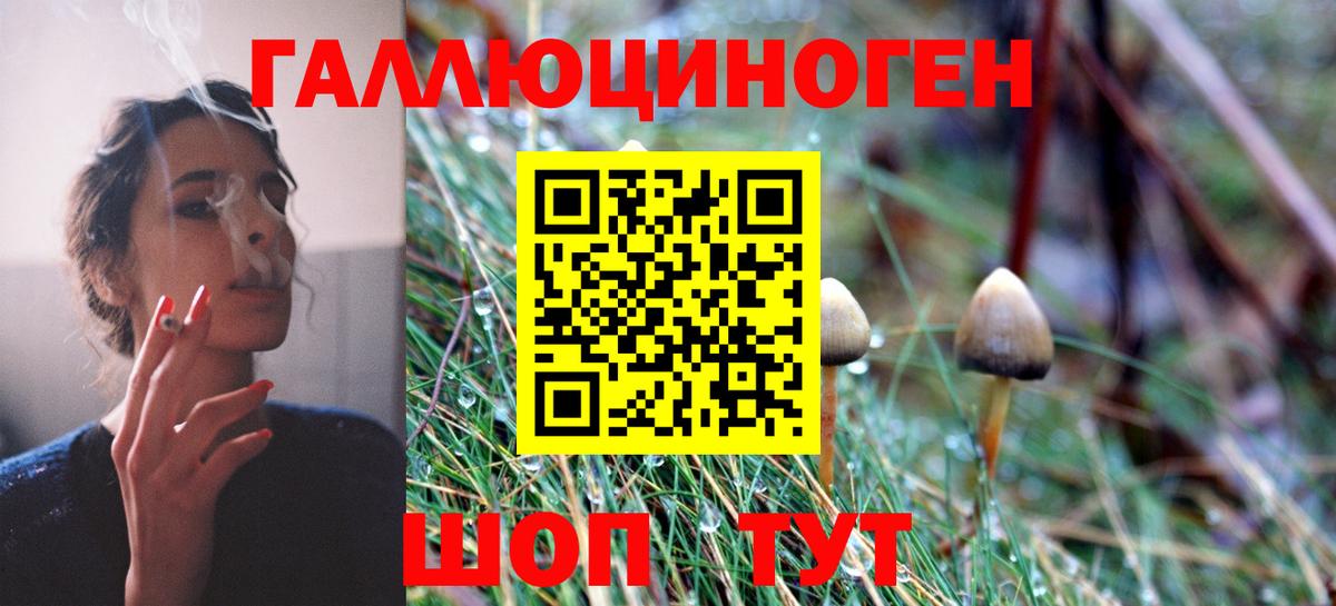 Галлюциногенные грибы GOLDEN TEACHER Архангельск