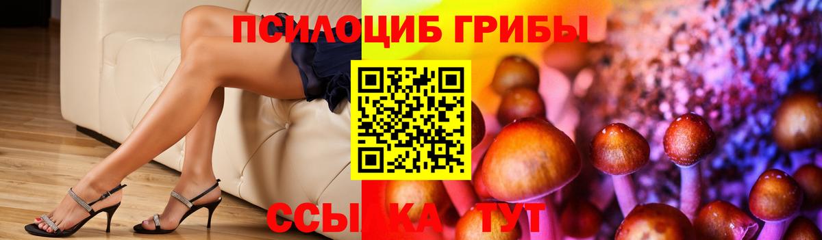 Галлюциногенные грибы Cubensis  Вход с VPN  Архангельск 