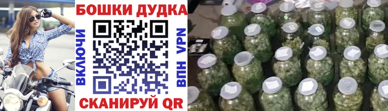 Шишки марихуана план Архангельск